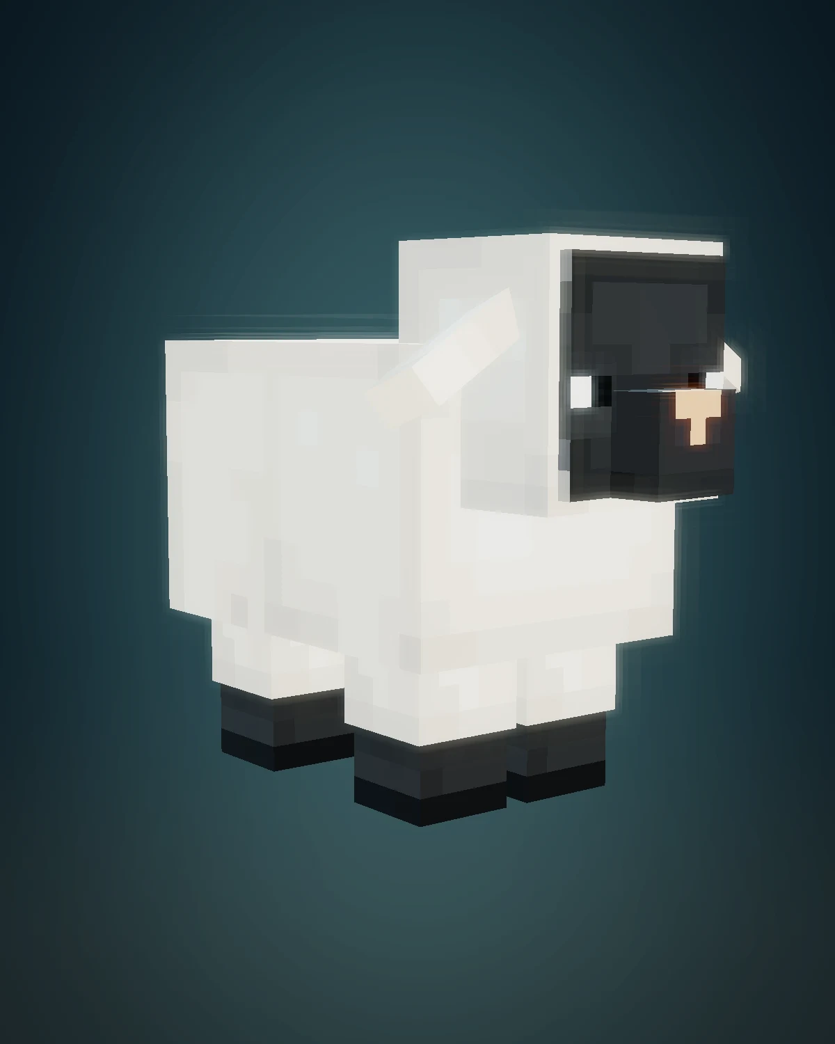 The real Petramond sheep, woolly and entirely unimpressed